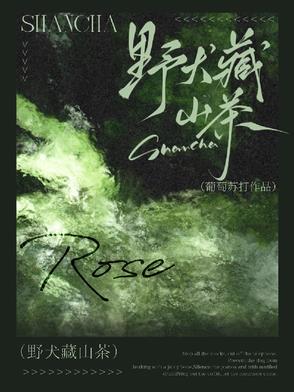 野犬藏山茶